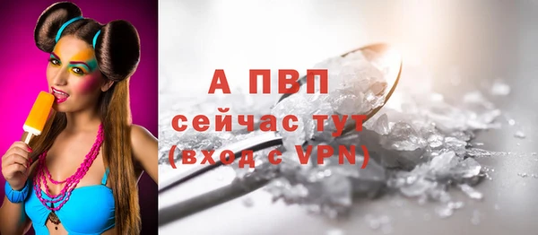 спайс Вяземский